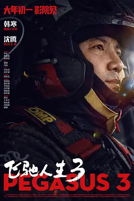 亚洲精品国产v片在线观看