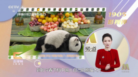 人与畜禽corporation