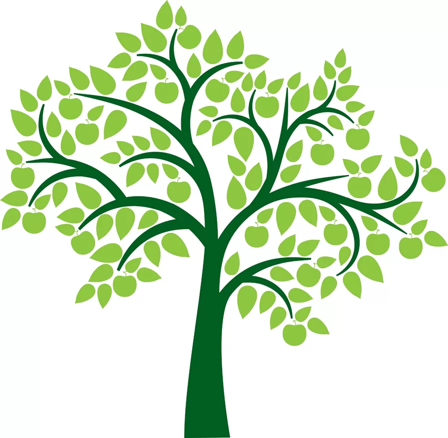 Family Tree Clipart #24742