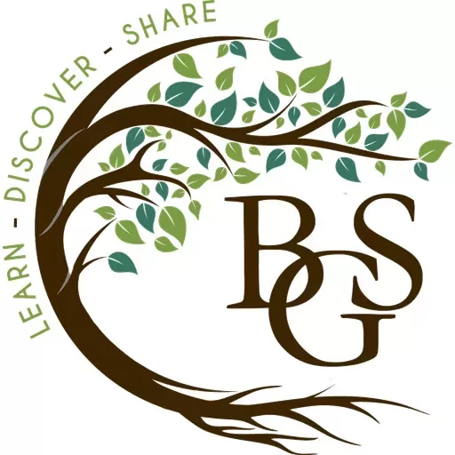 BGS Web Icon